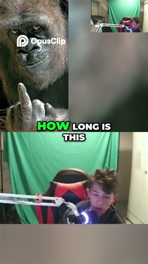 Shein Rings Go Viral! Can't Stop Touching Them! #trending #funny #react #viral #memes