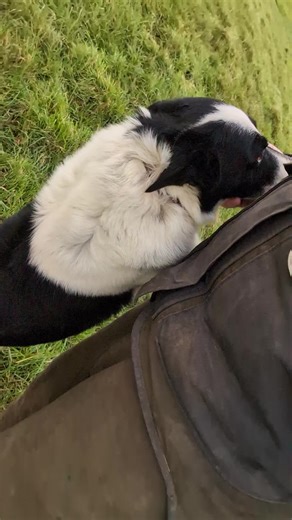 Gerry (@thefairheader)’s videos with original sound - Prime Video UKIE