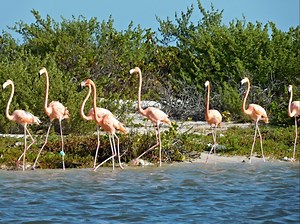 ¿Qué hacer en Sisal? Magia, aventura y diversión - México Desconocido