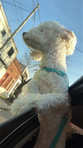 Videos de Brisa Abigail (@brisaabigail_01) con “sonido original - 💊PRP CLIPS💊”