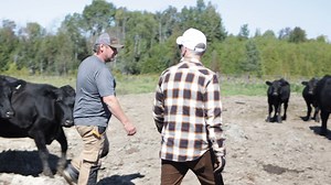 🐄 Primal Cuts offers a wide range of Cleary Ranch & Cattle Co.'s local, naturally raised, hormone-free, and grass-fed beef throughout the year, including various cuts like briquets, burgers, and tomahawk steaks, ensuring customers can enjoy their favourite selections from nose to tail. Connect With Them For All Your BBQing Needs! 📱 705-775-MEAT (6328) 📍 550 Lansdowne St W, Peterborough, ON. 🌐 https://www.primalcuts.ca/ | PtboCanada