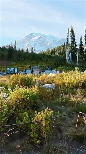 Mount Rainier Views Without a Grueling Hike | Paradise, Washington