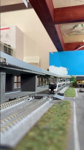 HC85系 ひだ #鉄道 #電車 #train #automobile #railway #nゲージ #hc85系 #ひだ #高山本線 #東海道線 #ポポンデッタ #tomix #nゲージ鉄道模型