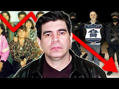 Rise & Fall of the Arellano Felix Organization