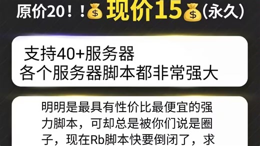 Rb脚本中心付费版v2功能演示视频4