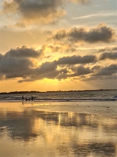 Minha experiência com o Samsung A56 📸🤌🏻