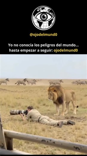 Ojo Del Mundo on Instagram: "En la antigua Roma, prestar juramento no se trataba solo de falsificar; implicaba exponer el cuerpo, el futuro y el honor. Entre los hombres libres, ciertos acuerdos exigían más que palabras. Requerían un gesto físico que simbolizaba algo más grande: la capacidad misma de engendrar descendencia. En los rituales de juramento, había ocasiones en las que el compromiso se sellaba cerca de los testículos o directamente sobre ellos. La lógica era brutalmente simple: la men