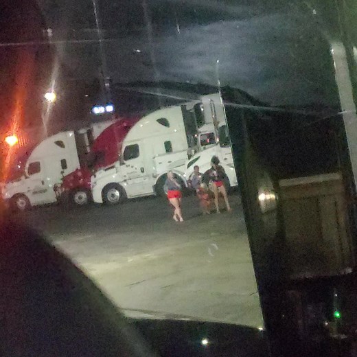 Any body know where this is? place was crawling with lizards! #trucki...