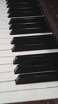 Alleluia - Gospel Acclamation for Funeral