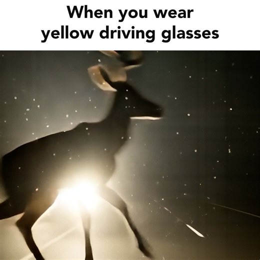 💥Black Friday $50 SALE💥 "Best yet, LED's no problem. I tried so many inferior nighttime glasses before I found yours. They are the Best Ever... Thank you." - Trustpilot 5* review by Robert Kasper Hate blinding headlight glare when driving in the dark? These are the perfect driving glasses for you... Wear your Headlight Glasses with Polarized LED GlareCut Technology™ to never feel unsafe driving again. Turn bright white headlights into soft orange (like old car headlights). We want to make you 