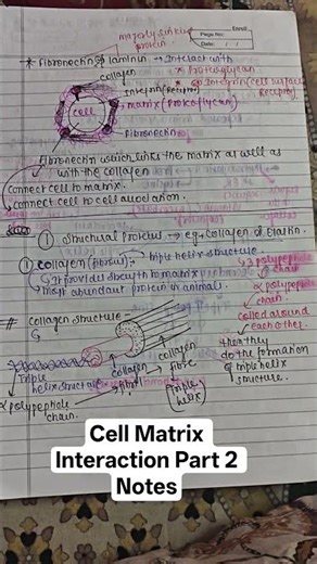 Cell Matrix Interaction Part 2 #csirnetlifescience #csirnetexam #csirnet