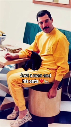 Don’t Stop Me-ow 🐱 #FreddieMercury