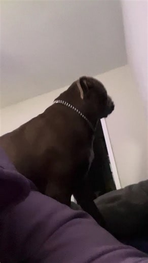 my alarm clock! she’s hilarious