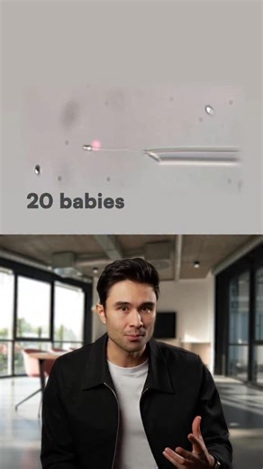 Rowan Cheung on Instagram: "At least 20 babies worldwide have been born through clinical trials using AI-powered robots to perform in vitro fertilization with minimal human intervention. Startups Conceivable Life Sciences and Overture Life have developed systems that automate up to 205 steps in the IVF process, using computer vision algorithms to select optimal sperm and high-precision robotic arms to fertilize eggs. Early trials in Mexico City, Turkey, and Latin America show the technology matc