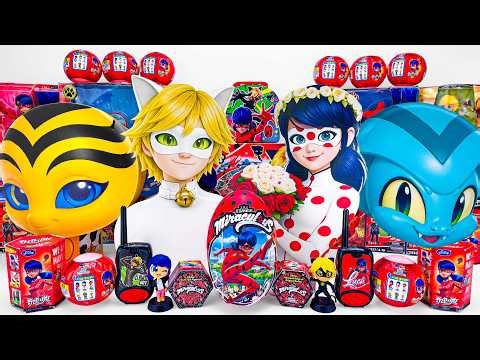 Miraculous Ladybug Toys Collection ASMR Unboxing Review | Ladybug & Catnoir & Pollen & Sass Boxes