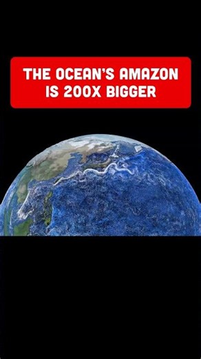 The Kuroshio Current Moves 200x More Water Than the Amazon River