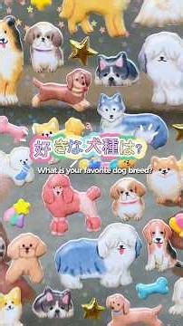好きな🐶わんちゃんの種類ある？飼ってる種類とか飼ってみたい犬種とかー！︎🐩︎💕︎小型犬も大型犬も大好きー‎🤍#シール帳 #シールデコ #犬のいる生活 #ペタちゃん #ASMR