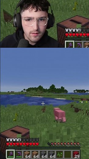 Whats happening in my Minecraft world?