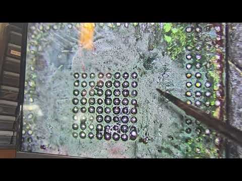 módulo cpc4 dañado por desconocimiento del proceso de reparación. FREIGHTLINER CASCADIA DD13 DD15