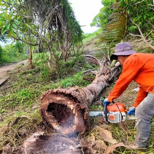 From Ruined Place To Million Dollar Mansion — An Unbelievable Transformation! #CleanupTransformation #SatisfyingVideo #BeforeAndAfter #RestorationProject #FYPシ | Clean The Old House