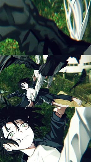 TikTokでねこさんをチェック！