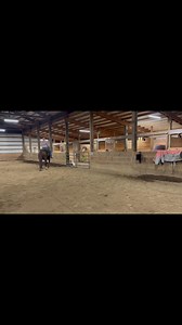 New payment options available! K Horses Cow Cutters, are already affordable! We are now offering payments plans on your terms. Whether you can only pay $5 at a time or $50, simply pay what you can when you can. Once we’ve received 50% of the total we will begin work on your flag system. Once payment has been fully made, we will ship your system to you! K Horses offers our normal version for $650, pro lite for $800 and pro ultra for $950. Shoot me a message to learn more! Some fine tuning and ass