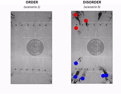 The secret behind pedestrian crossings – and why some spiral into chaos