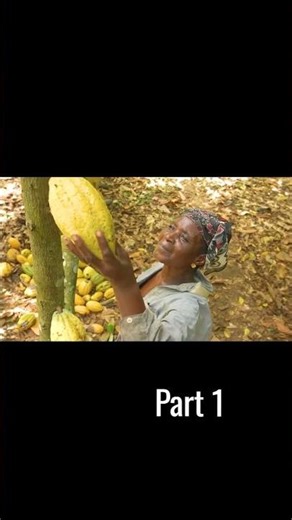 How Feastables Chocolate are made from cocoa beans to delicious chocolate bars Made in real factory