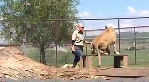 Visit Discovery Wildlife Park a sanctuary for orphan and exotic animals 󾇛With out you we can't help them !!! Learn all about these amazing animals and how you can make a difference for all animals!! | Discovery Wildlife Park