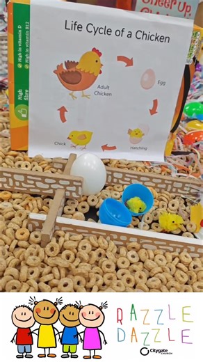 🐔 Life Cycle of a Chicken – Tuff Tray Fun 🐣 From egg 🥚 to chick 🐤 to chicken 🐔, our little learners loved exploring the life cycle through hands-on play! ✨ DIY hens, Cheerios, and paper “hay” made it simple, a little messy, and SO much fun 💛 Our chicken theme was a hit – what was your little one’s favourite part? 🏠🐔 Next week, a woolly friend is joining the fun… any guesses? 👀🐑 #razzledazzle #razzledazzleplaygroup #CitygateChurch #beckenhamplaygroup #beckenhammums #beckenhamdads #becke