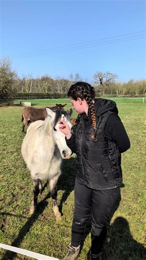 Have you been enjoying the spring sunshine? 🌞 On many farms, spring means newborns, and while we won't be welcoming any tiny four-legged creatures this year, we thought you would like to know the gestation period for our animals.