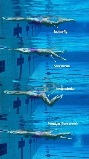 How to kick all swimming styles. Swimming basics for beginners. Freestyle swimming. Butterfly