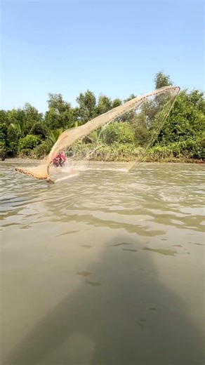 Fishing Magic with Net 🎣