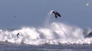 First Back flip on a Sea Doo Spark 🚀🌊 Sea-Doo 🏁 #FLSkiRiders #jetski #jetskiing #jetskilife #enjoyflorida #jetskidaily #seadoosummer #saltlife #seadoodaily #seadoo #seadoolife #floridafun #exploreflorida #seadoodaily #floridaski #boating #loveFL #fljetski #rivaracing #boatlife #lakelife #boating #yamaha #riverride #jetskiislife #waverunner #vitaminsea #birdisland #crabisland #miamijetski | Florida Ski Riders