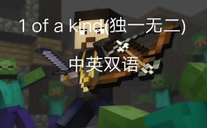 【rainimator】1 of a kind[独一无二]Minecraft video中英双语