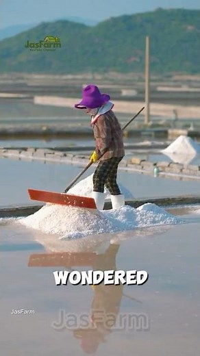 The Ancient Craft of Vietnamese Salt Farmers Revealed!