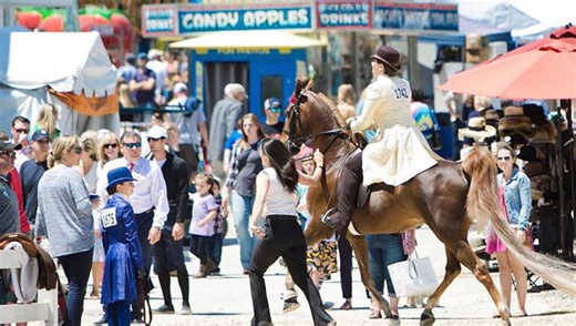 Devon Horse Show returns for 130th year of equestrian festivities