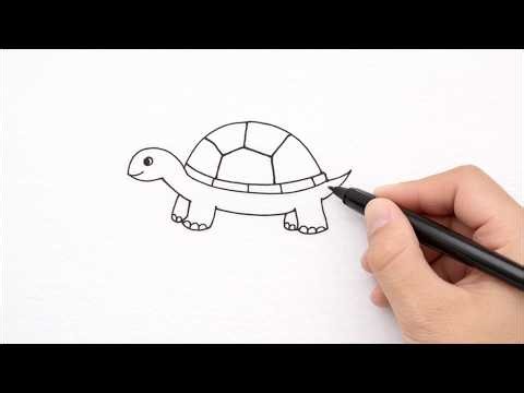 How to Draw a Cute Turtle 🐢 (Easy Step-by-Step)
