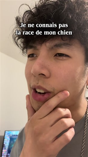 Quelle est la race de mon chien adopté ?