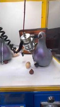 Why He Can’t Stop Playing the Claw Machine