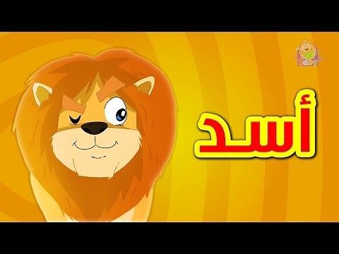 الأسد - طيور بيبي | Toyor Baby