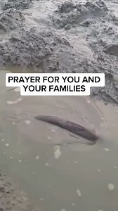 prayer for you and your families | Daily Revival