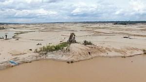 Killing the Amazon: How the rainforest is faring under deforestation