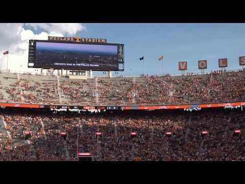 The Vols pay tribute to East Tennessee native Dolly Parton
