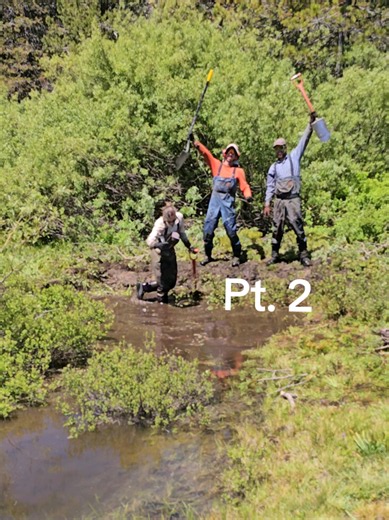 Low-Tech Floodplain Restoration: Creating Functional Wetlands