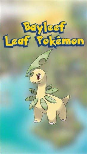 Bayleef the Leaf Pokémon | Daily Pokédex 153 #pokemon #johto #bayleef