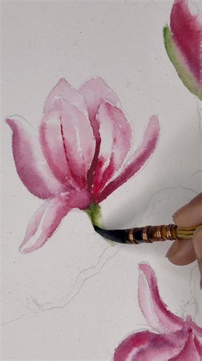 Watercolor Magnolia Painting 🌸Easy Watercolor Flower Painting #watercolor #painting #shorts #art