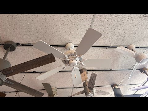 Minka Aire-Fanimation-Hinkley—Interesting 2000s-Retro Ceiling Fans—At a Lighting Store—Ambler PA