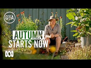 Autumn Jobs to Start Now | Gardening 101 | Gardening Australia