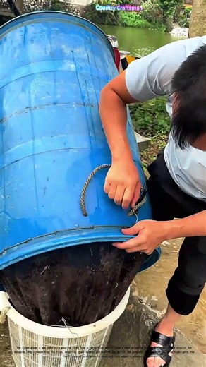 Transferring Fish: A Delicate Dance of Precision